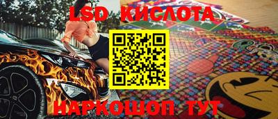 спайс Берёзовский