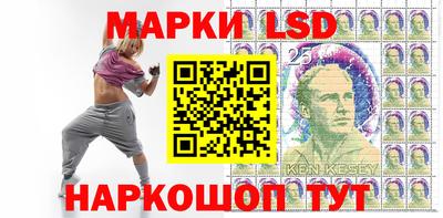 спайс Берёзовский