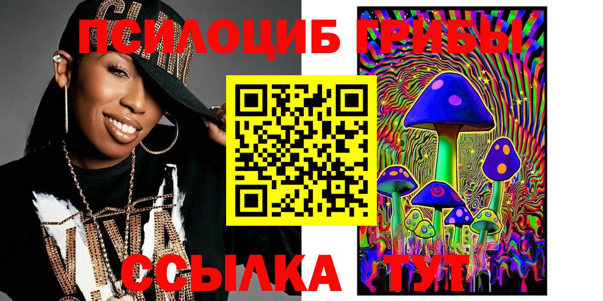 цена наркотик  Вход с VPN  Кизилюрт  Галлюциногенные грибы MAGIC MUSHROOMS 