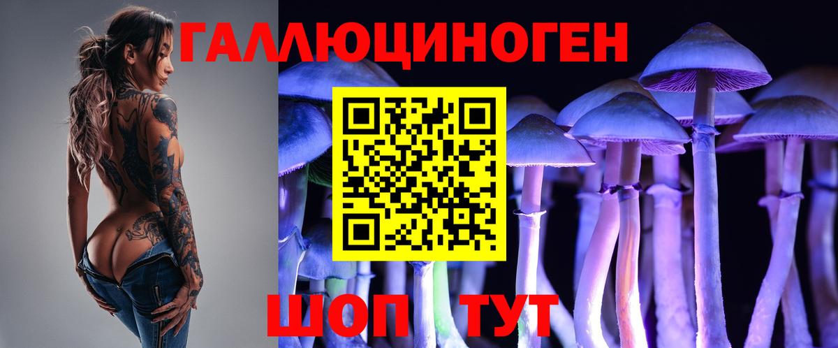 Галлюциногенные грибы мухоморы Кизилюрт